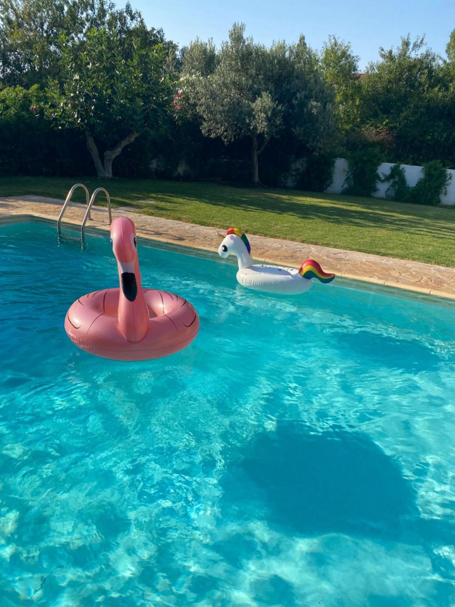 Relaxing Villa With Swimming Pool And Garden Agios Georgios  Zewnętrze zdjęcie