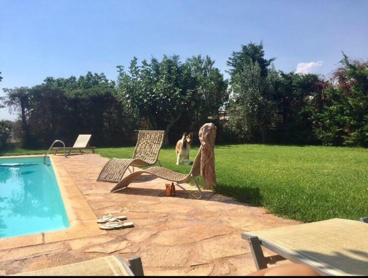 Relaxing Villa With Swimming Pool And Garden Agios Georgios  Zewnętrze zdjęcie